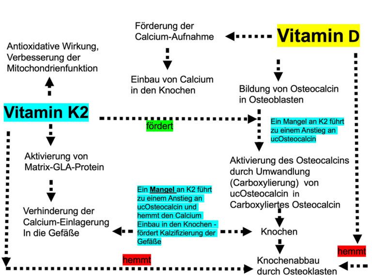 Vitamin K2 Kombination Vitamin D sportärztezeitung