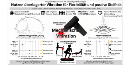 Stretching trifft Faszienforschung